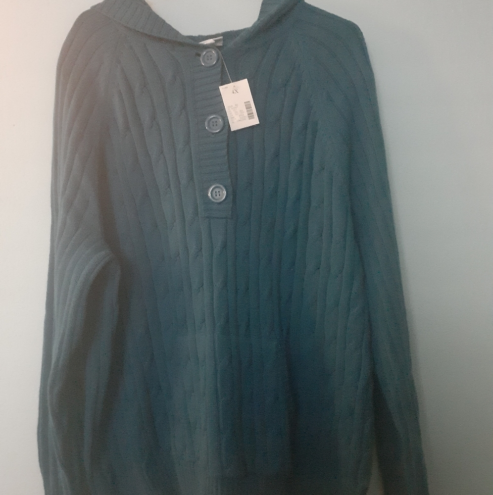 Plus Size Fashion Bug hooded sweater